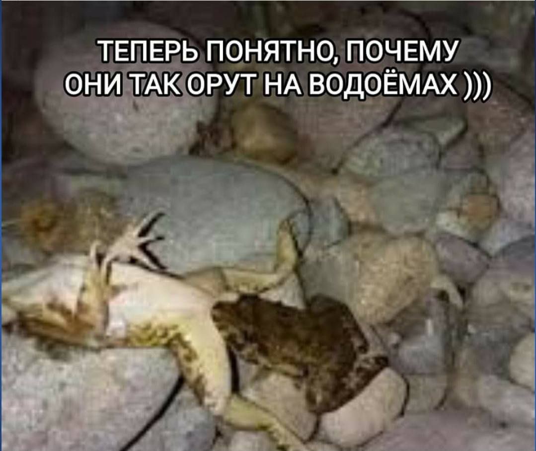 ТЕПЕВЬПОНЯТНО ПОЧЕМУ