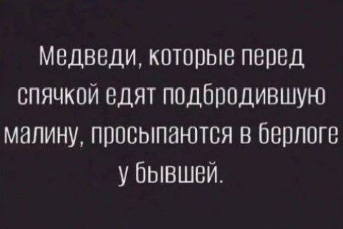 Медведи которые перед спячкой едят подбродившую малину просыпаются в берлоге у бывшей