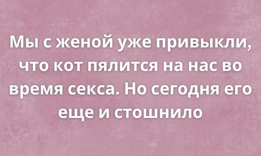 Мы сженой уже привыкли что кот пялится на нас во время секса Но сегодня его еще и стошнило