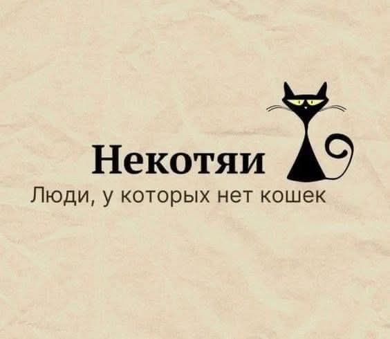 Некотяи Ъ Люди у которых нет кошек