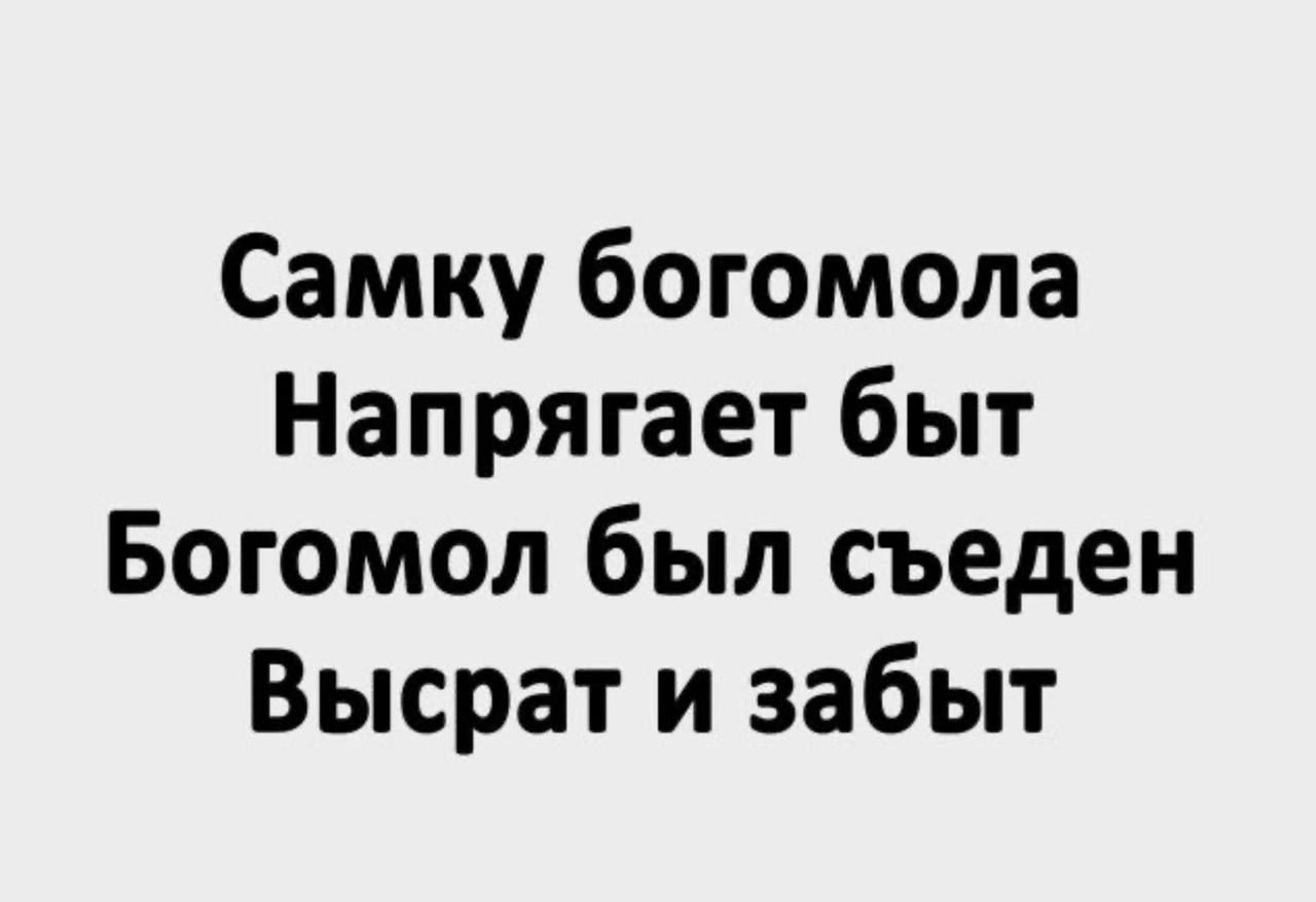 Самку богомола Напрягает быт Богомол был съеден Высрат и забыт