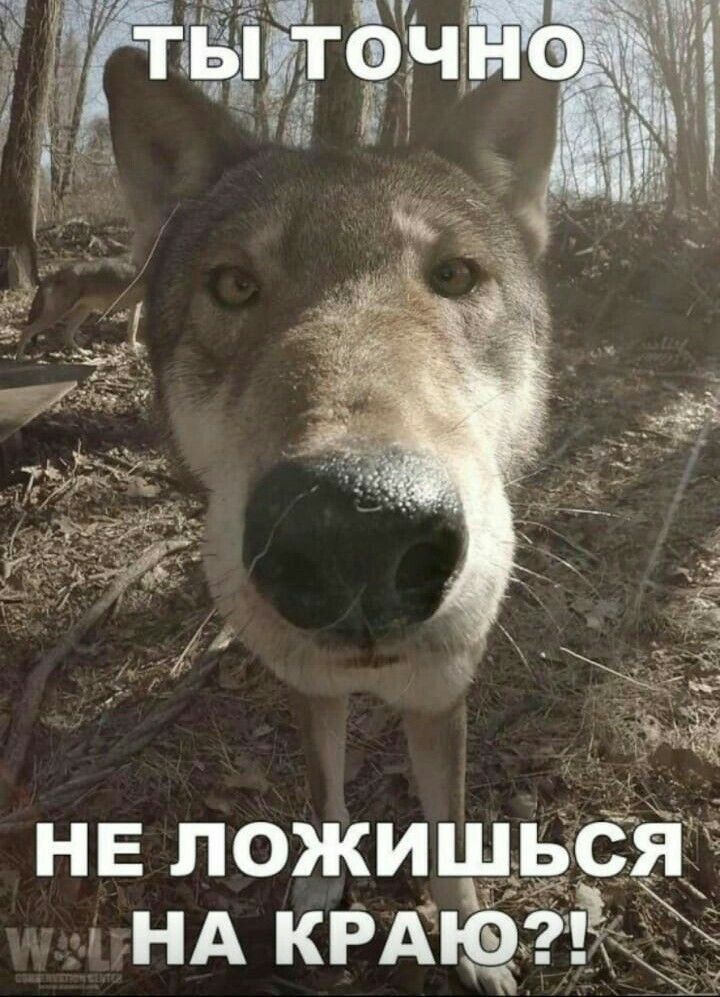 НЕ ЛОЖИШЬСЯ НА КРАЮ2