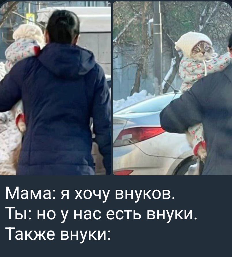 Мама я хочу внуков Ты но у нас есть внуки Также внуки