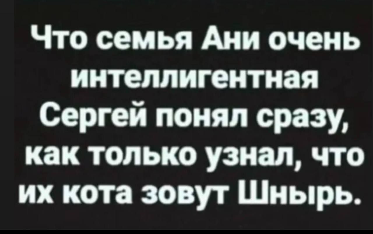 Что семья Ани очень интеллигентная Сергей понял сразу как только узнал что их кота зовут Шнырь