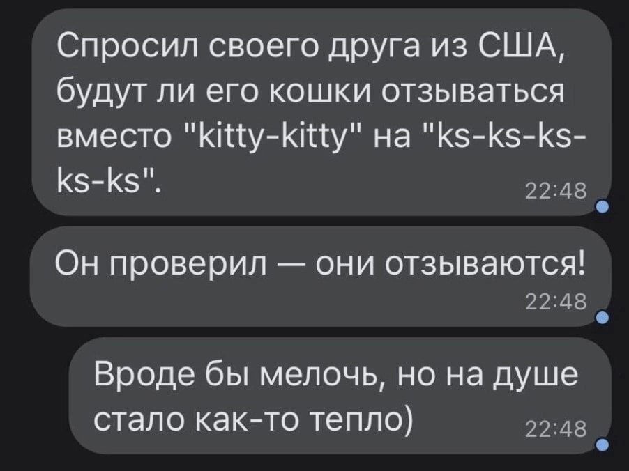 Спросил своего друга из США будут ли его кошки отзываться вместо Ку Ку на К5 К5 К5 К5 К 2248 Он проверил они отзываются 2248 е Вроде бы мелочь но на душе стало как то тепло 2248