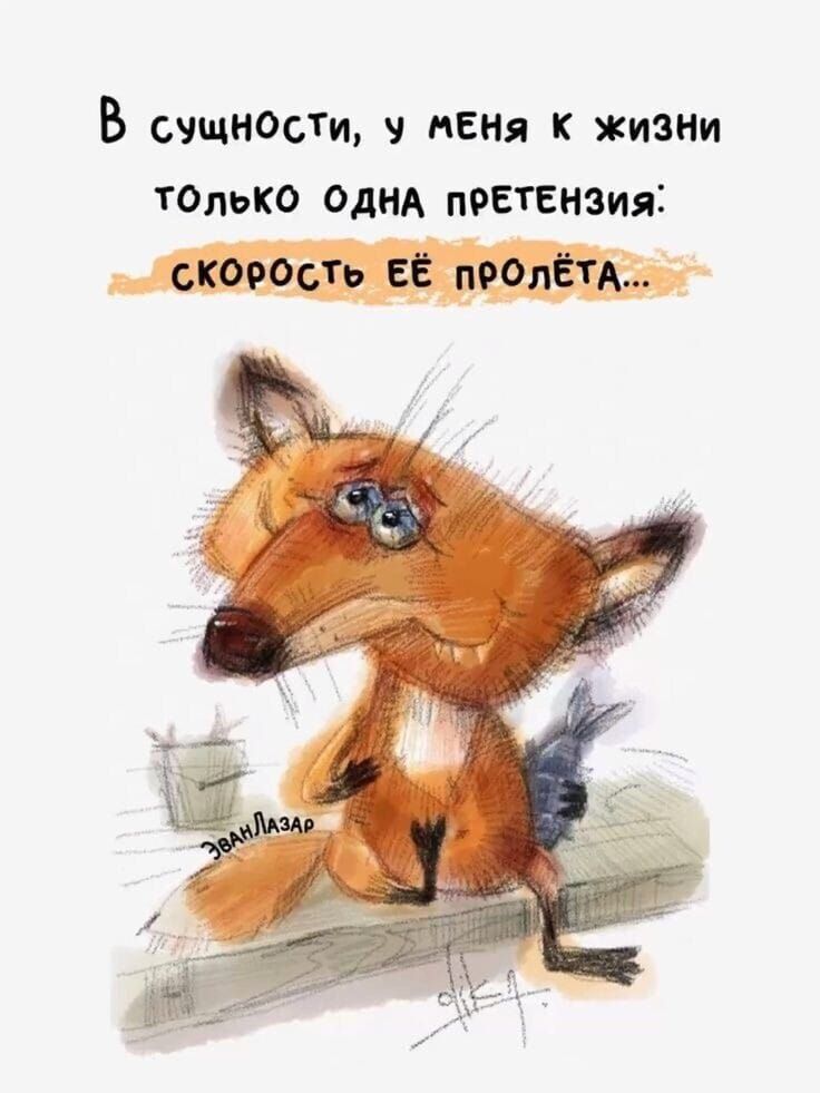 В сущности, у меня к жизни только одна претензия: скорость её полёта...