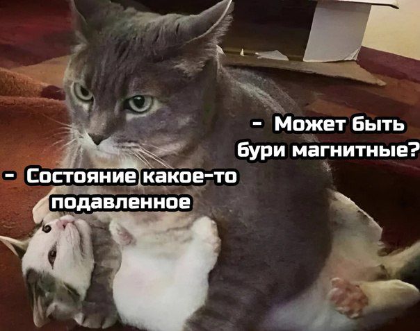 - Может быть бури магнитные? 
- Состояние какое-то подавленное