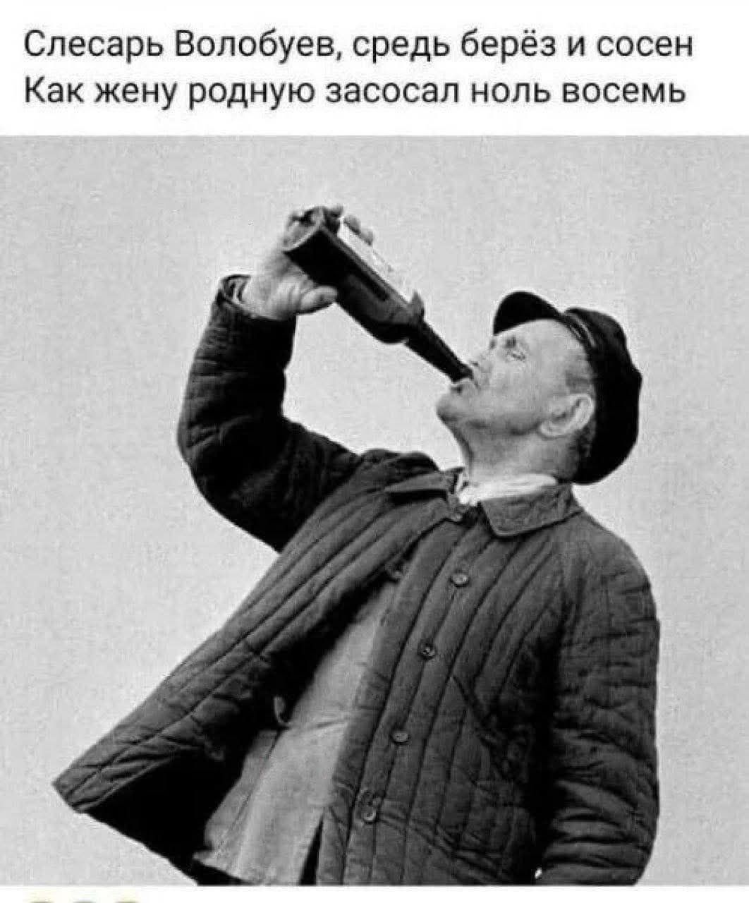 Слесарь Волобуев, средь берёз и сосен Как жену родную засосал ноль восемь