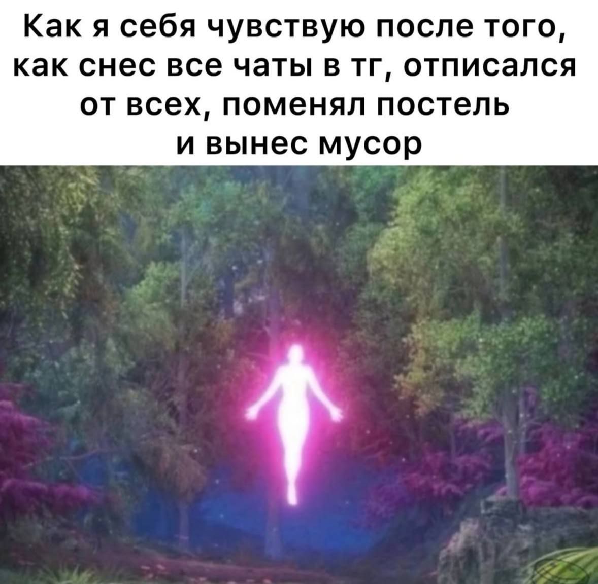 Как я себя чувствую после того, как снес все чаты в тг, отписался от всех, поменял постель и вынес мусор