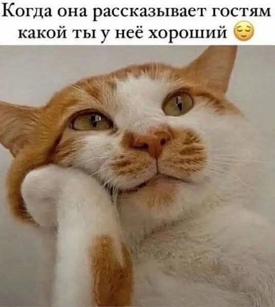Когда она рассказывает гостям какой ты у неё хороший