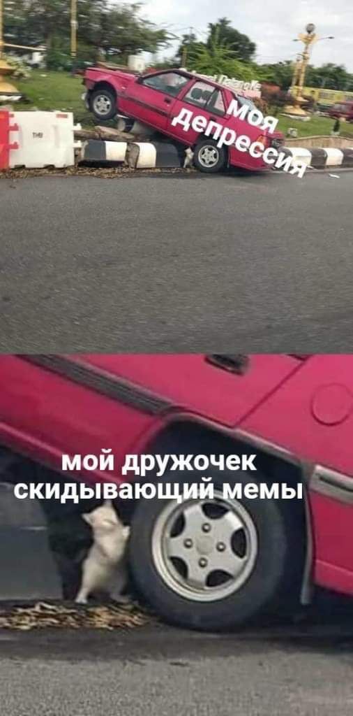 Моя депрессия
мой дружочек скидывающий мемы