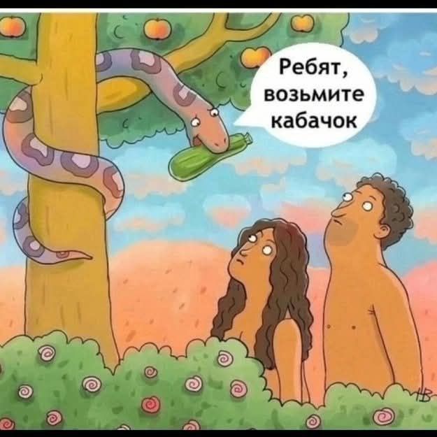 Ребят, возьмите кабачок