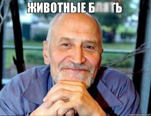 ЖИВОТНЫЕ БЛЯТЬ