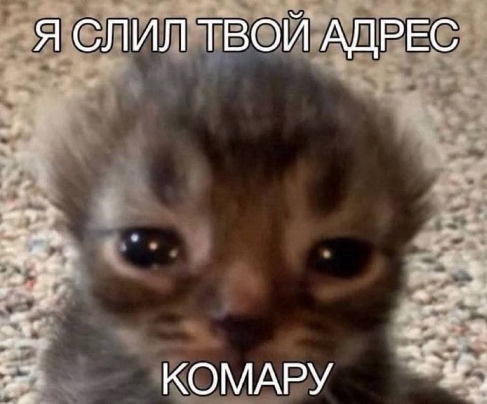 Я СЛИЛ ТВОЙ АДРЕС КОМАРУ