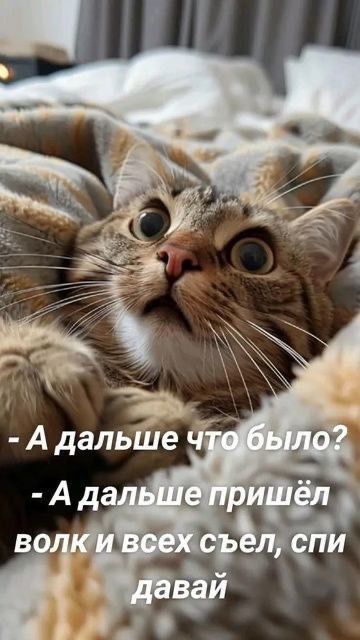 - А дальше что было?  
- А дальше пришёл волк и всех съел, спи давай