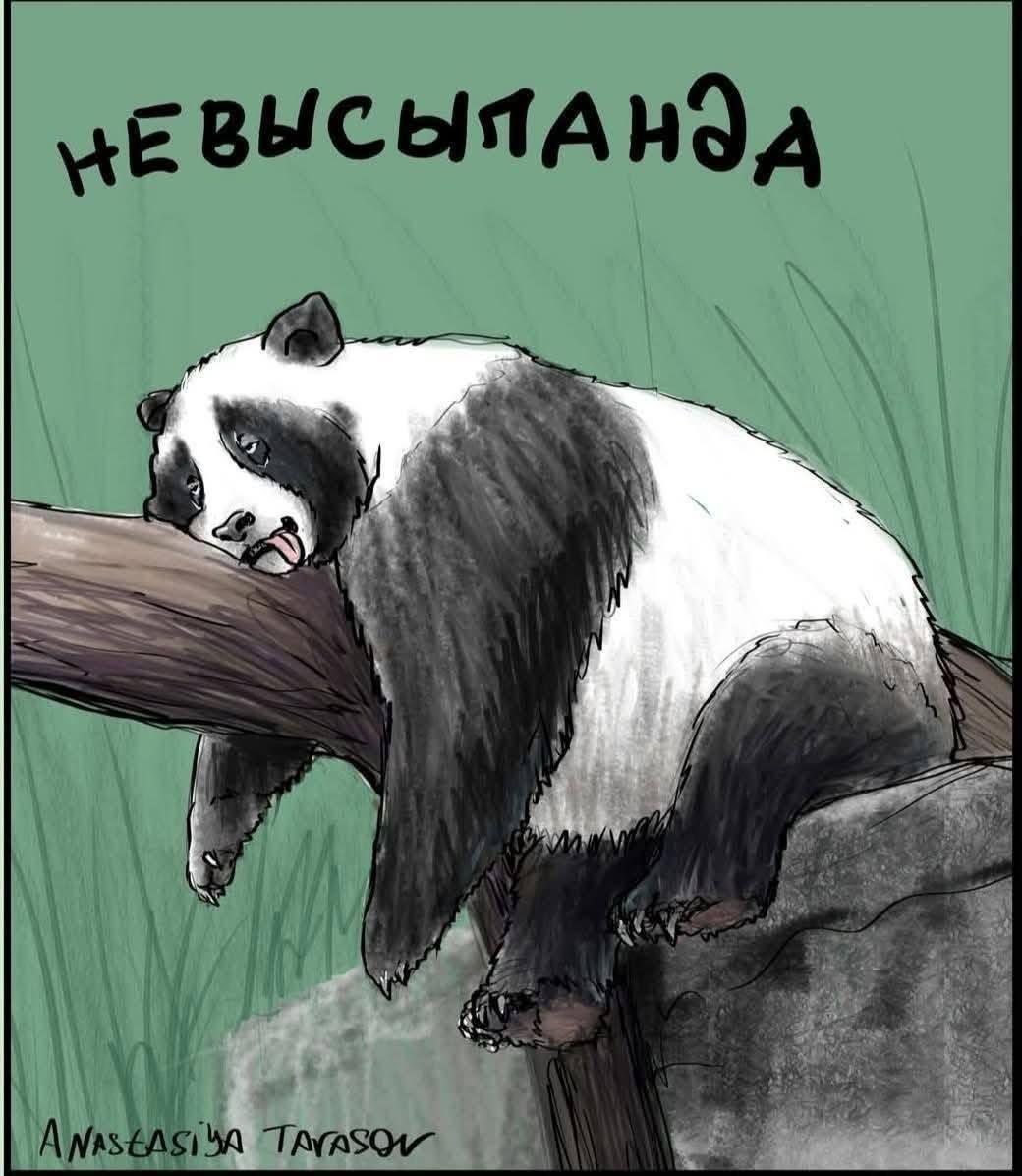Невысыпанда