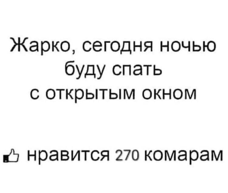 Жарко, сегодня ночью буду спать с открытым окном
нравится 270 комарам