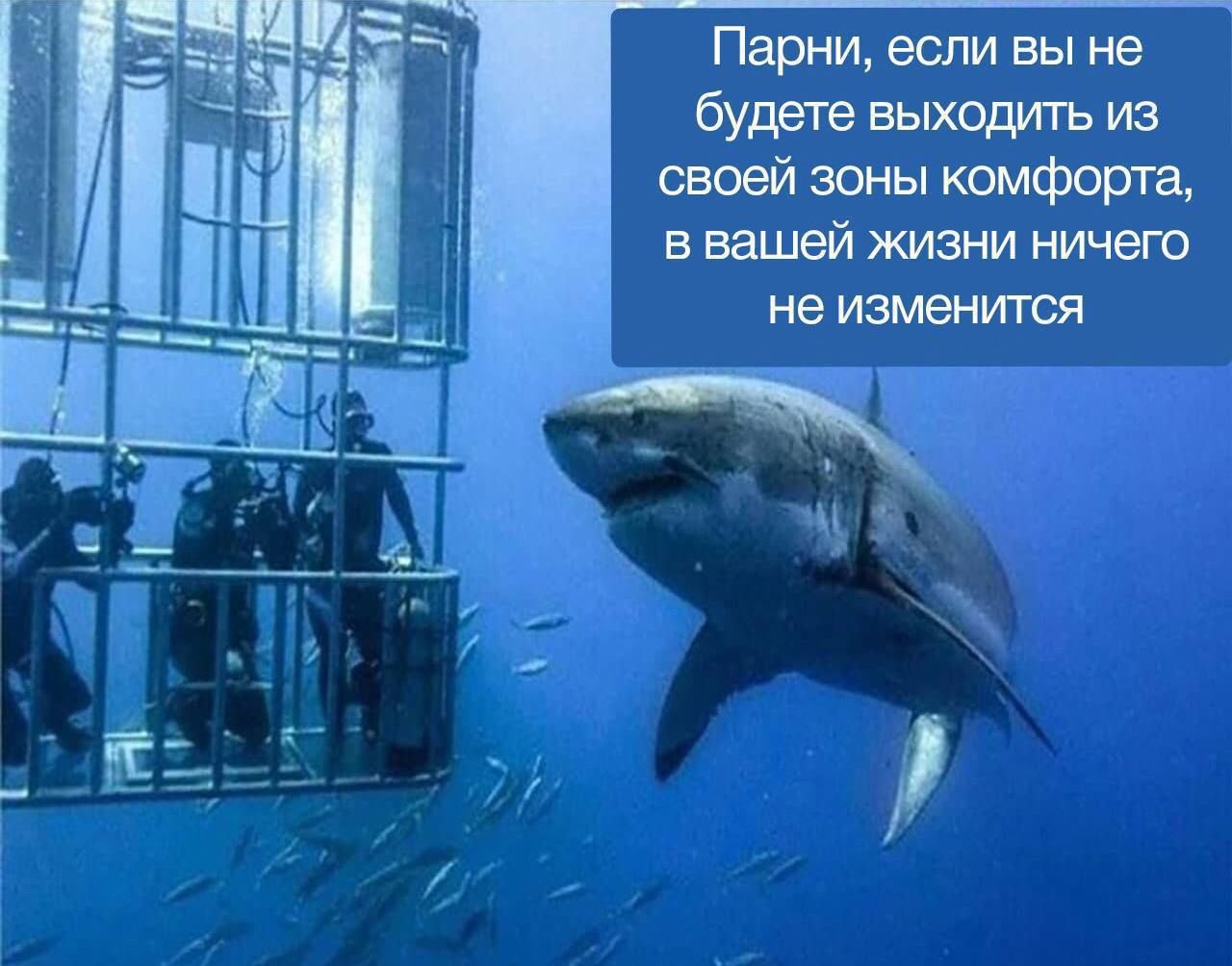 Парни, если вы не будете выходить из своей зоны комфорта, в вашей жизни ничего не изменится