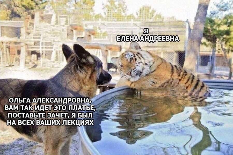 ОЛЬГА АЛЕКСАНДРОВНА, ВАМ ТАК ИДЁТ ЭТО ПЛАТЬЕ, ПОСТАВЬТЕ ЗАЧЁТ, Я БЫЛ НА ВСЕХ ВАШИХ ЛЕКЦИЯХ
Я ЕЛЕНА ANDREEVNA