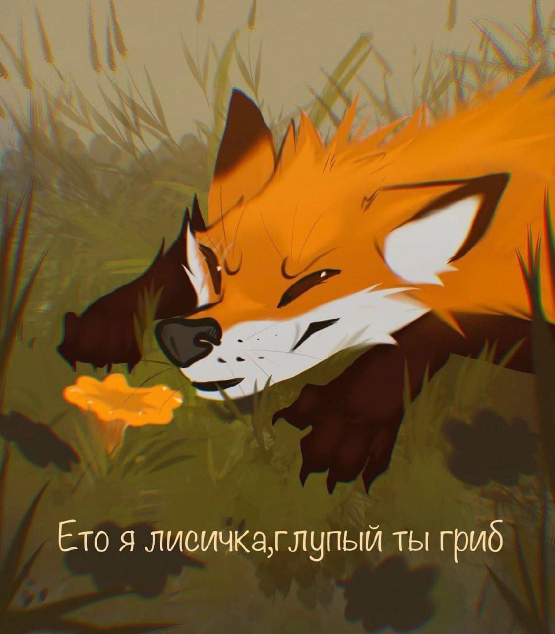 Ето я лисичка, глупый ты гриб