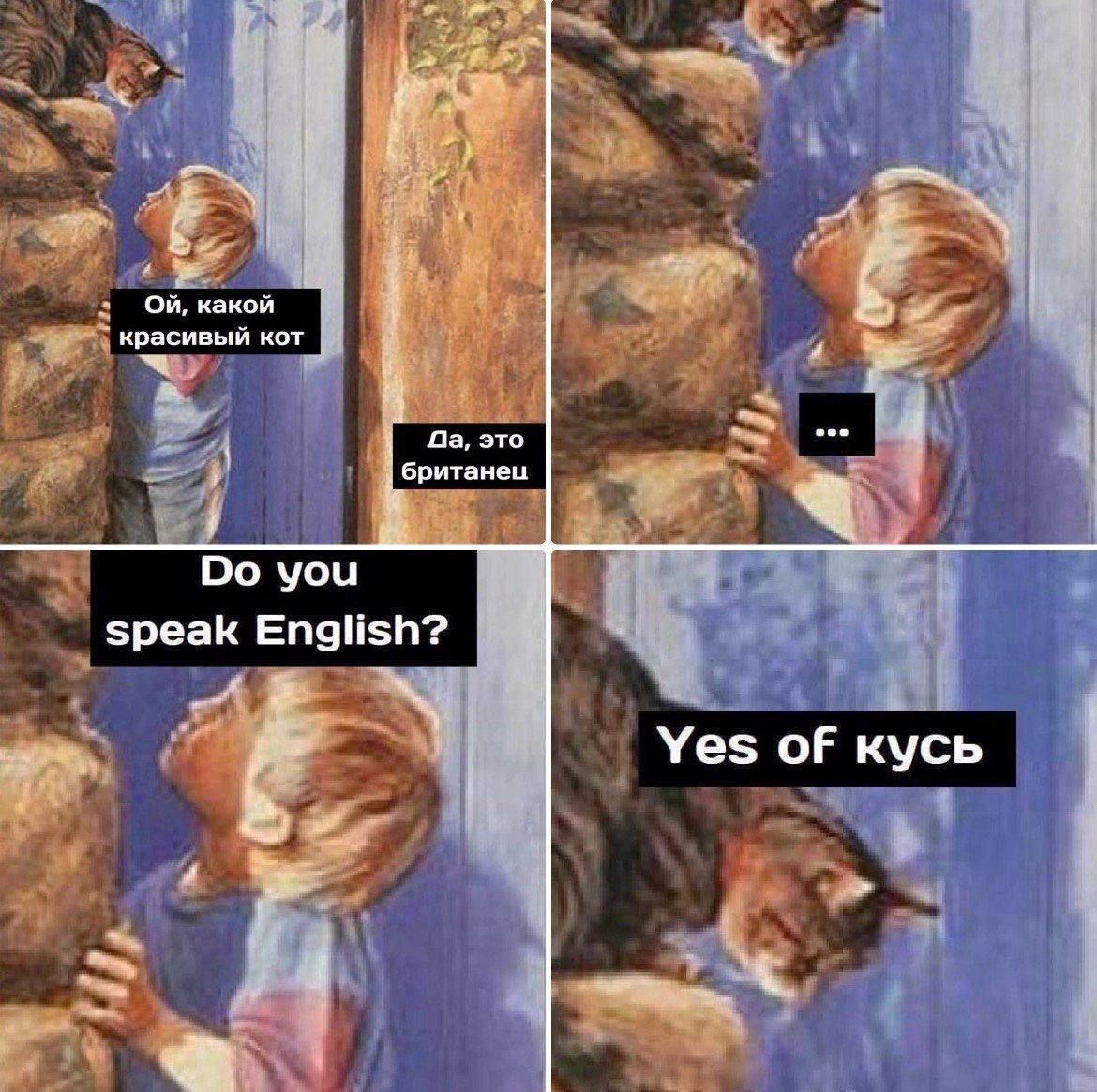 Ой, какой красивый кот
Да, это британец
...
Do you speak English?
Yes of кусь