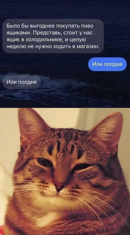 Было бы выгоднее покупать пиво ящиками. Представь, стоит у нас ящик в холодильнике, и целую неделю не нужно ходить в магазин.
Или полдня
Или полдня