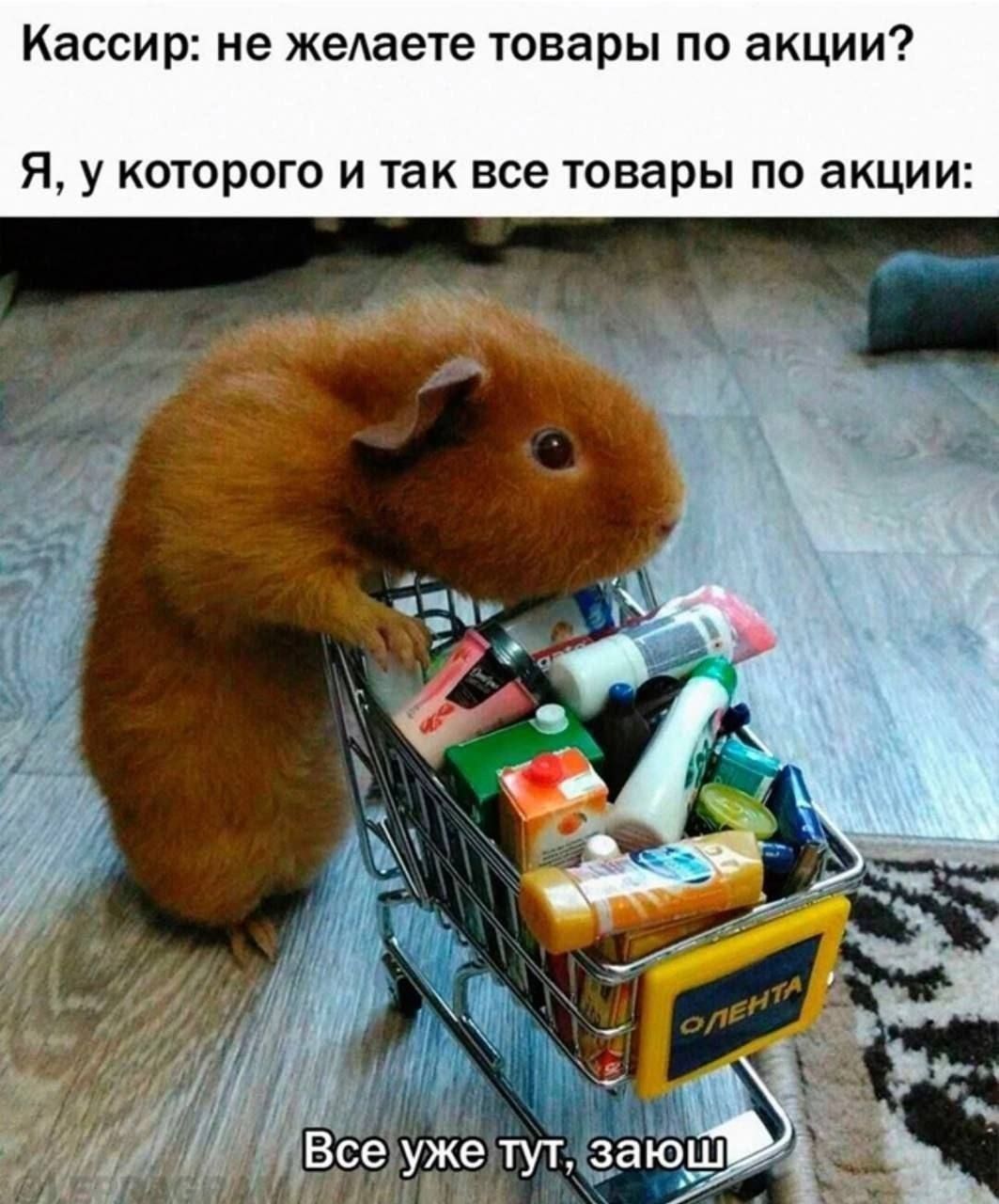Кассир: не желаете товары по акции?
Я, у которого и так все товары по акции:
Все уже тут, заюш