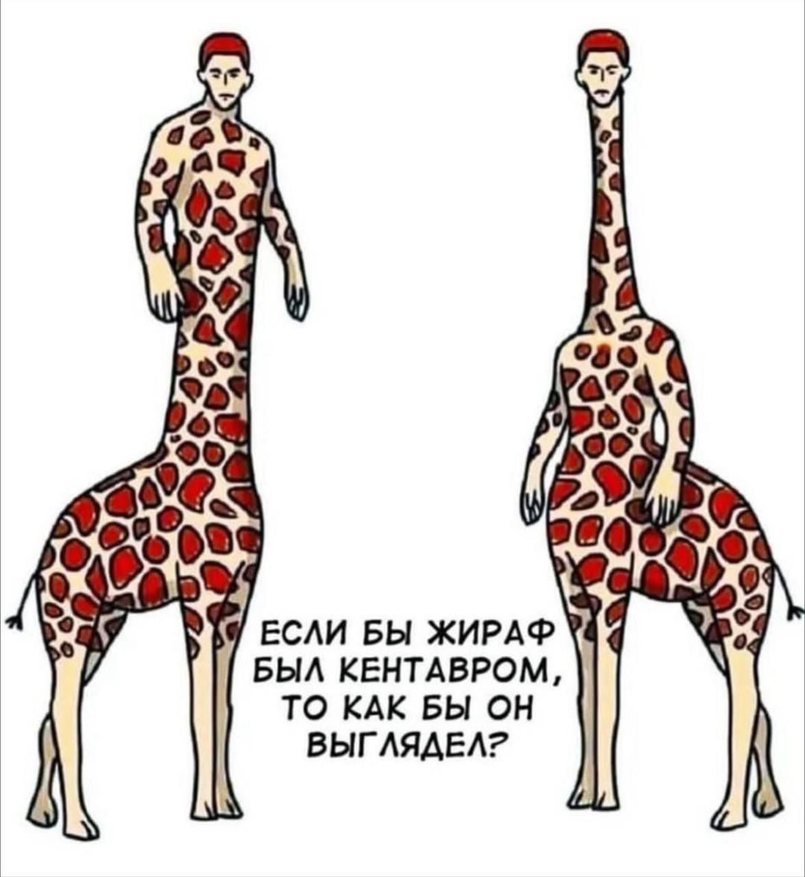 ЕСЛИ БЫ ЖИРАФ БЫЛ КЕНТАВРОМ, ТО КАК БЫ ОН ВЫГЛЯДЕЛ?
