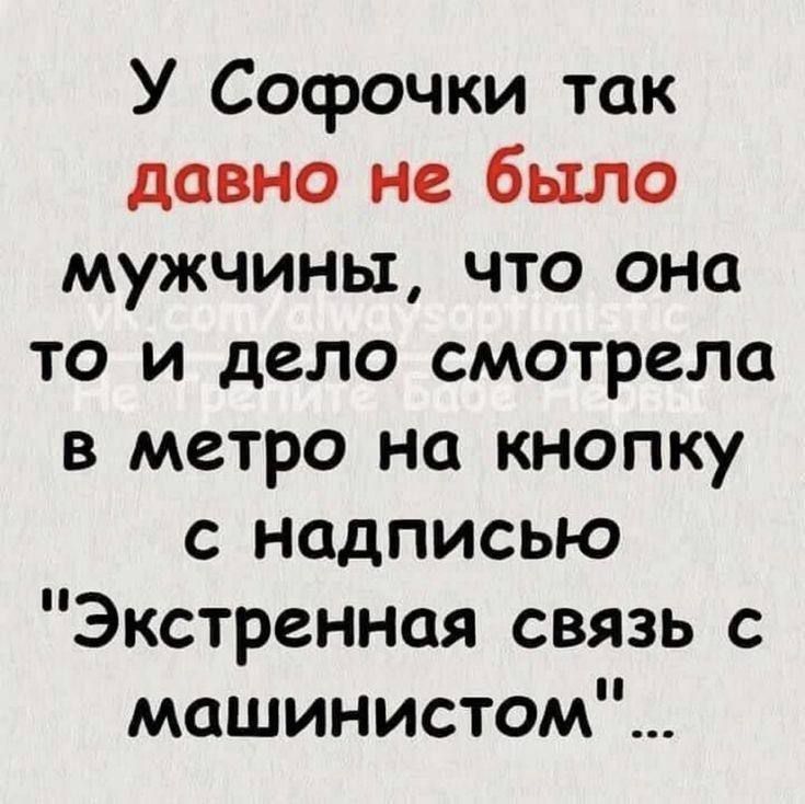 У Софочки так давно не было мужчины, что она то и дело смотрела в метро на кнопку с надписью 