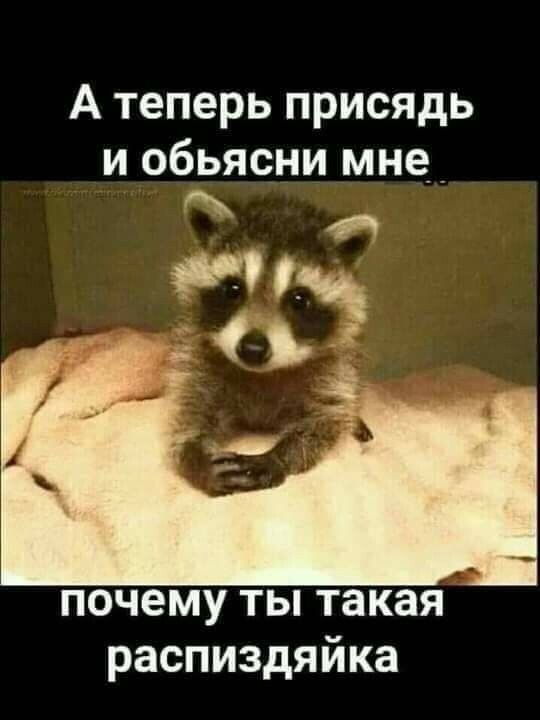 А теперь присядь и объясни мне почему ты такая распиздяйка