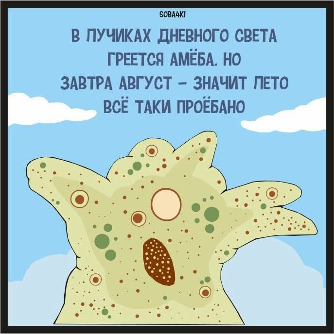 В ЛУЧИКАХ ДНЕВНОГО СВЕТА ГРЕТСЯ АМЕБА. НО ЗАВТРА АВГУСТ – ЗНАЧИТ ЛЕТО ВСЁ ТАКИ ПРОЁБАНО