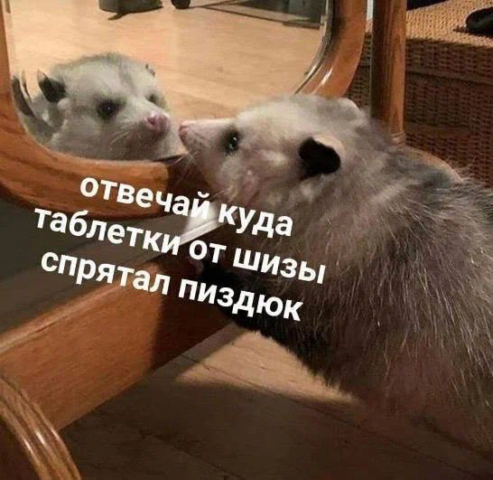 ответчай куда таблети от шизы спрятал пиздюк