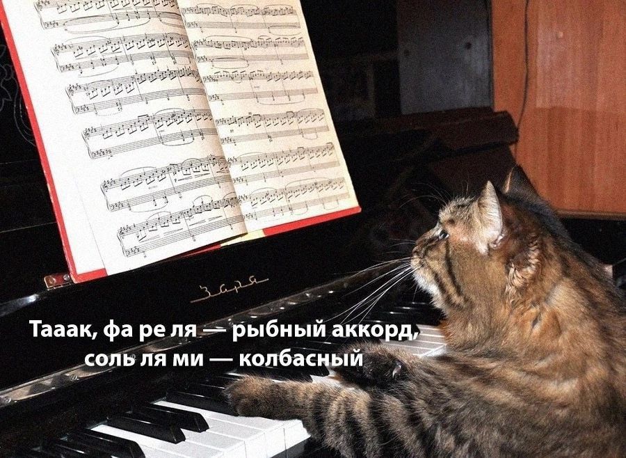 Таак, фа ре ля — рыбный аккорд, соль ля ми — колбасный