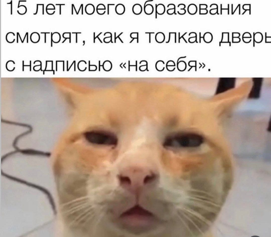 15 лет моего образования смотрят, как я толкаю дверь с надписью «на себя».