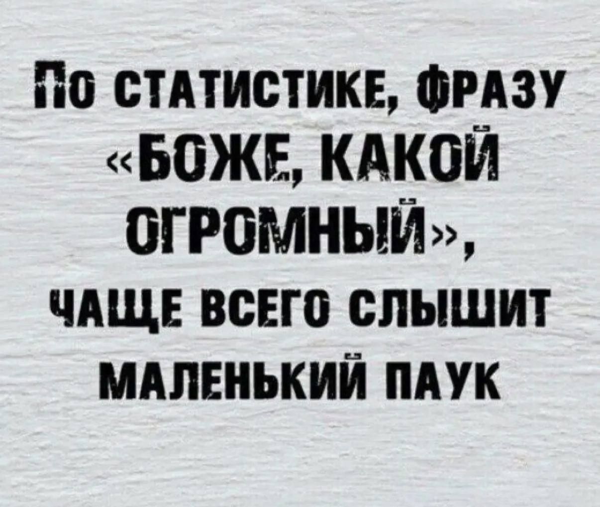 По статистике, фразе «Боже, какой огромный», чаще всего слышит маленький паук
