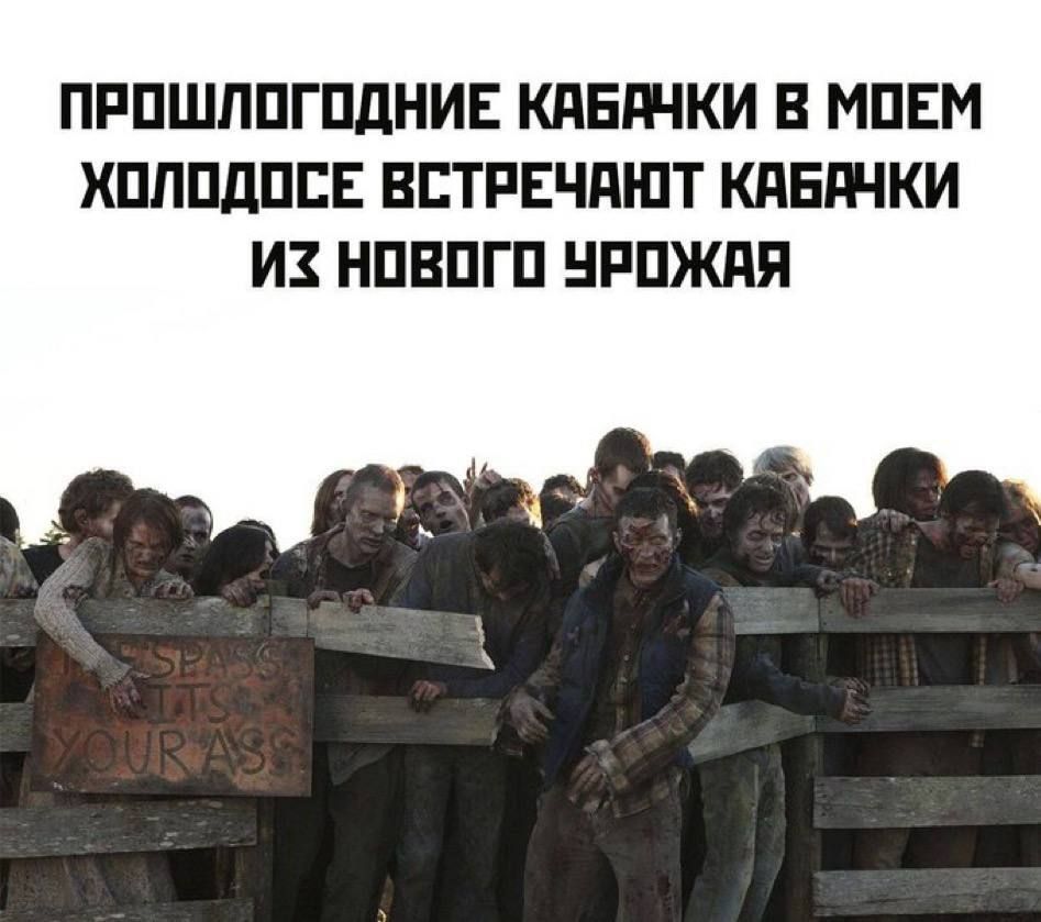 ПРОШЛОГОДНИЕ КАБАНКИ В МОЁМ ХОЛОДОСЕ ВСТРЕЧАЮТ КАБАНКИ ИЗ НОВОГО УРОЖАЯ