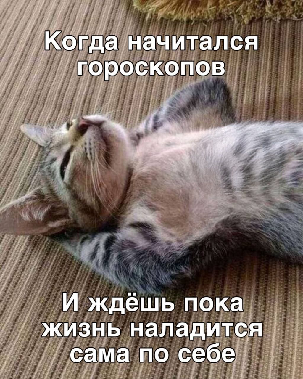 Когда начитался гороскопов
И ждёшь пока жизнь наладится сама по себе