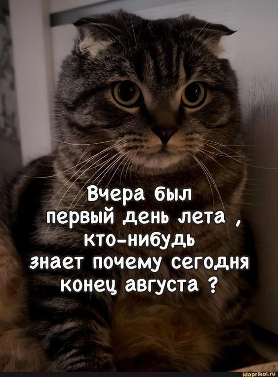 Вчера был первый день лета , кто-нибудь знает почему сегодня конец августа ?
