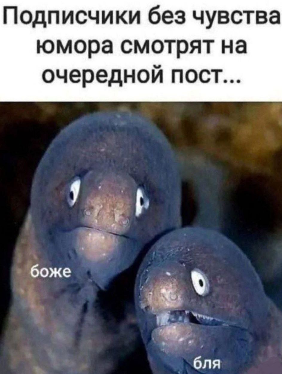 Подписчики без чувства юмора смотрят на очередной пост... боже бля