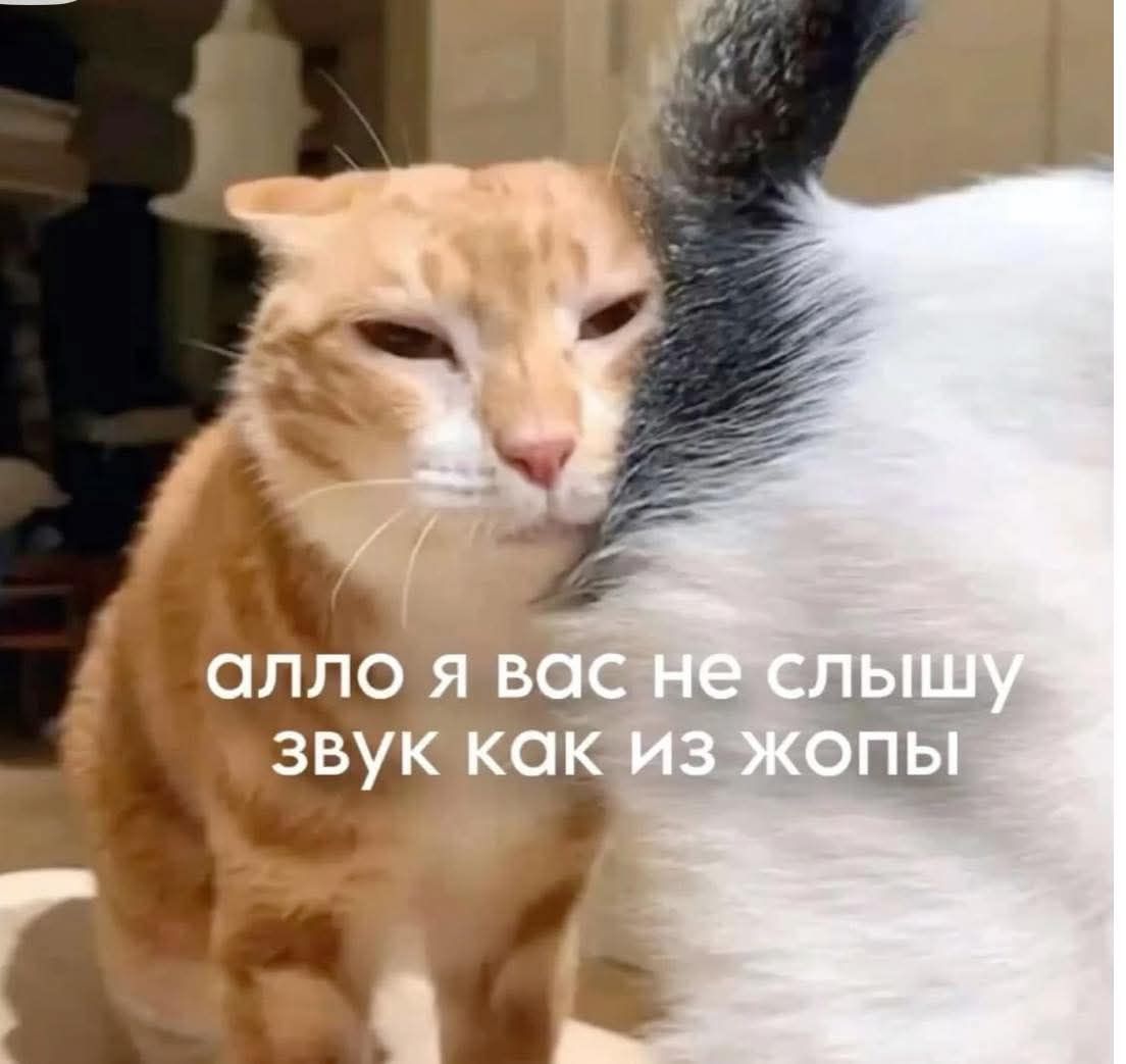 алло я вас не слышу звук как из жопы