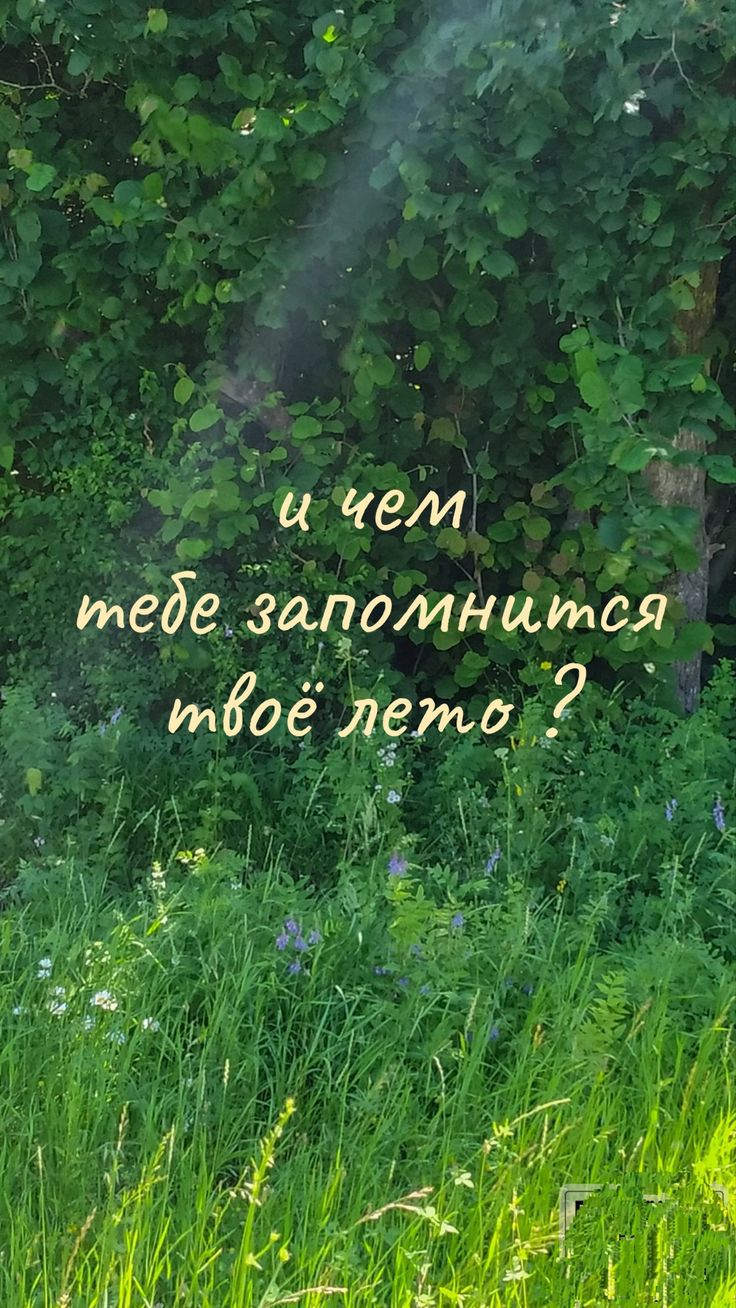 и чем тебе запомнится твое лето ?