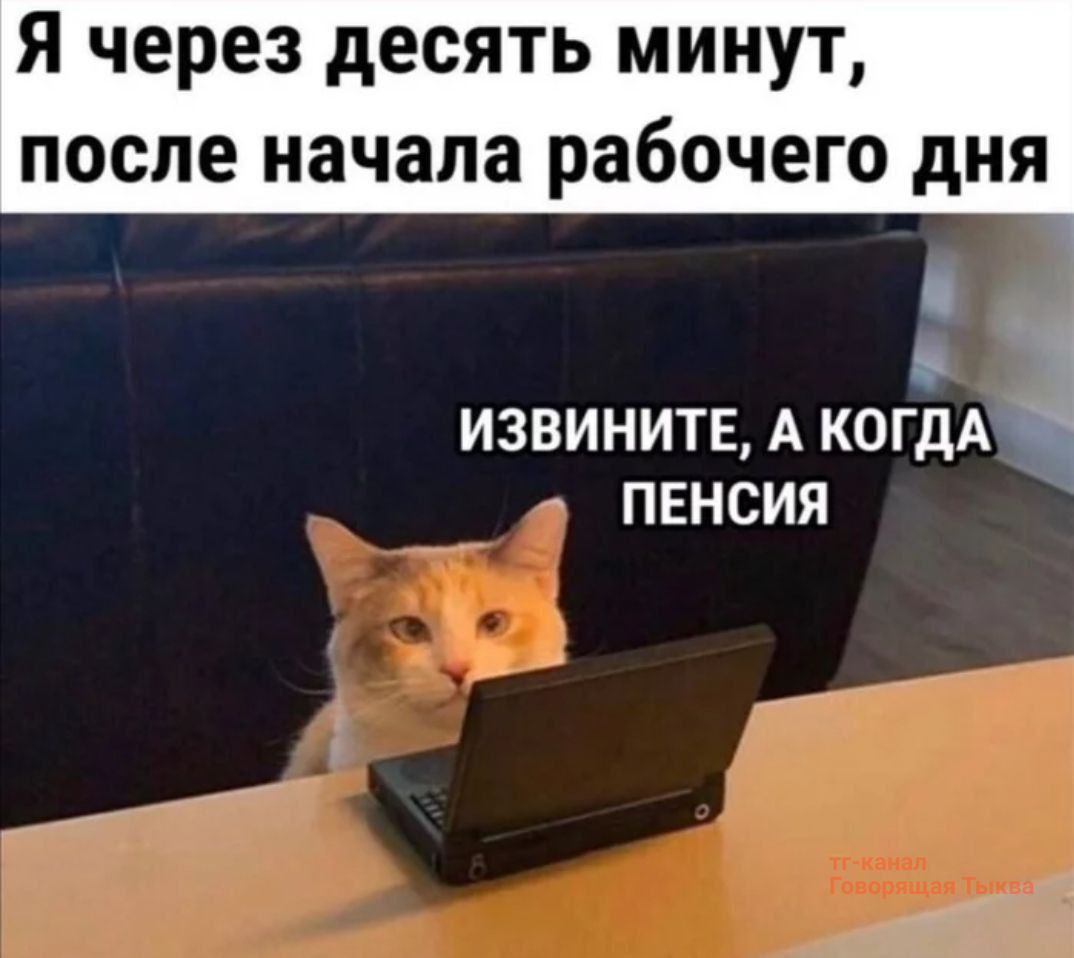 Я через десять минут, после начала рабочего дня
ИЗВИНИТЕ, А КОГДА ПЕНСИЯ