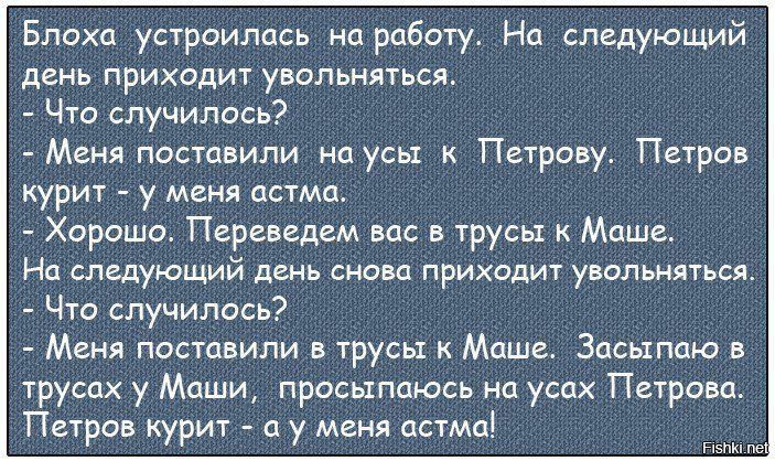 Блоха устроилась на работу. На следующий день приходит увольняться.
- Что случилось?
- Меня поставили на усы к Петрову. Петров курит - у меня астма.
- Хорошо. Переведем вас в трусы к Маше. На следующий день снова приходит увольняться.
- Что случилось?
- Меня поставили в трусы к Маше. Засыпаю в трусах у Маши, просыпаюсь на усах Петрова. Петров курит - а у меня астма!