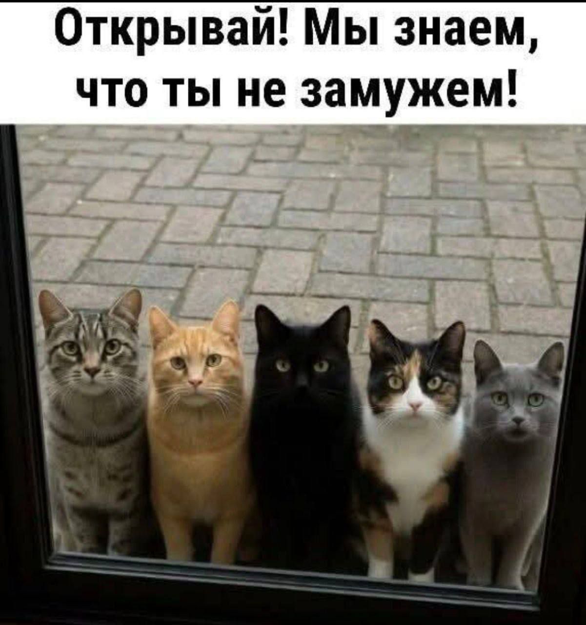 Открывай! Мы знаем, что ты не замужем!