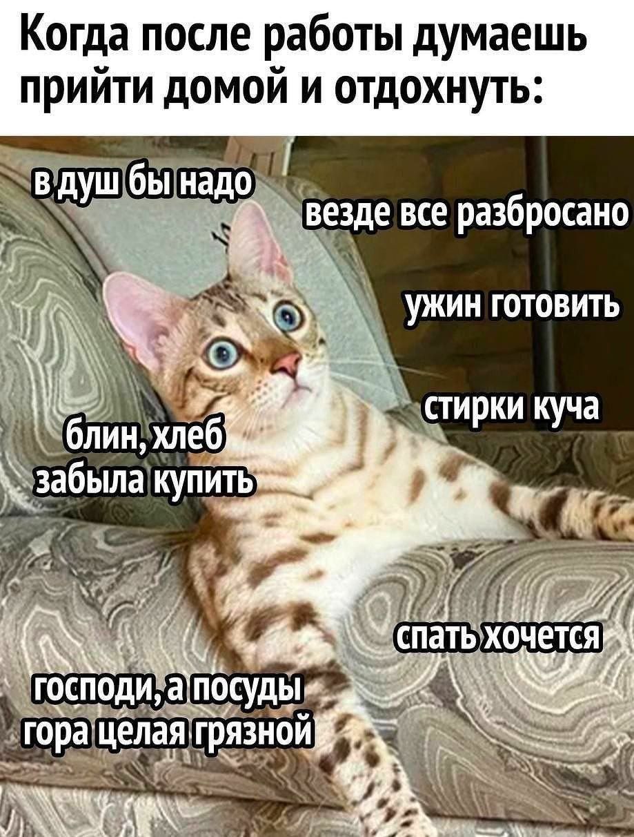 Когда после работы думаешь прийти домой и отдохнуть:
в душ бы надо
везде все разбросано
ужин готовить
стирки куча
блин, хлеб забыла купить
спать хочется
господи, а посуды гора целая грязной