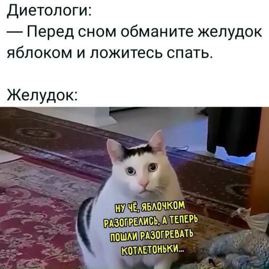 Диетологи: — Перед сном обманите желудок яблоком и ложитесь спать.

Желудок: 

НУ ЧЁ, ЯБЛОЧКОМ РАЗОГРЕЛИСЬ, А ТЕПЕРЬ ПОШИ В РАЗОГРЕВАТЬ КОТЛЕТОНЬКИ...