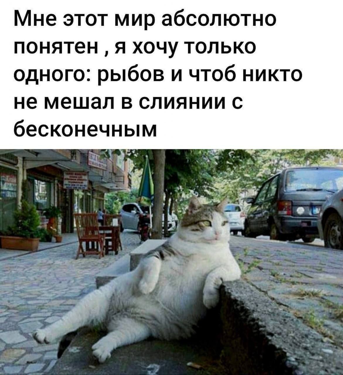 Мне этот мир абсолютно понятен, я хочу только одного: рыбов и чтоб никто не мешал в слиянии с бесконечным