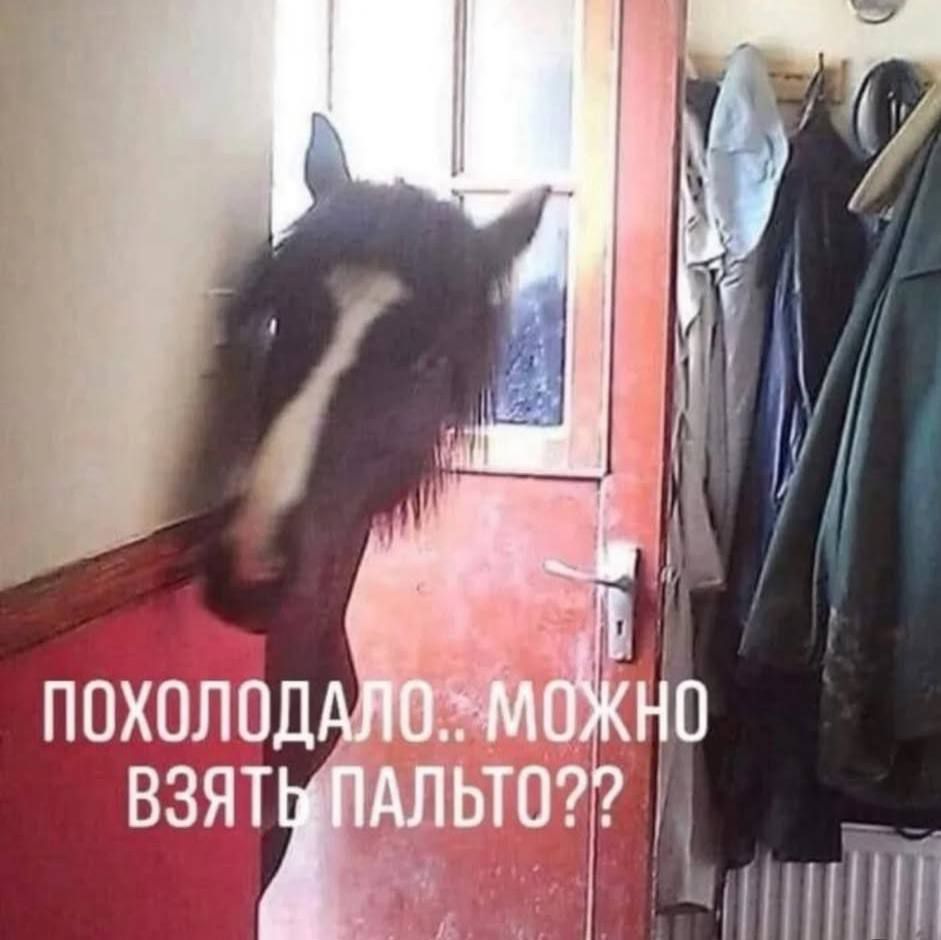 Похолодало.. можно взять пальто??
