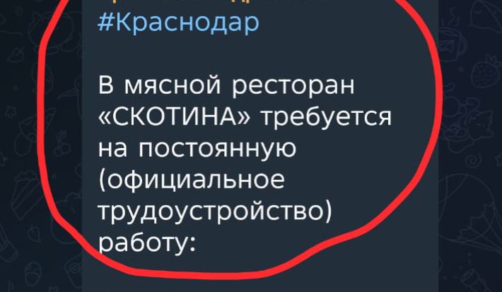В мясной ресторан «СКОТИНА» требуется на постоянную (официальное трудоустройство) работу: