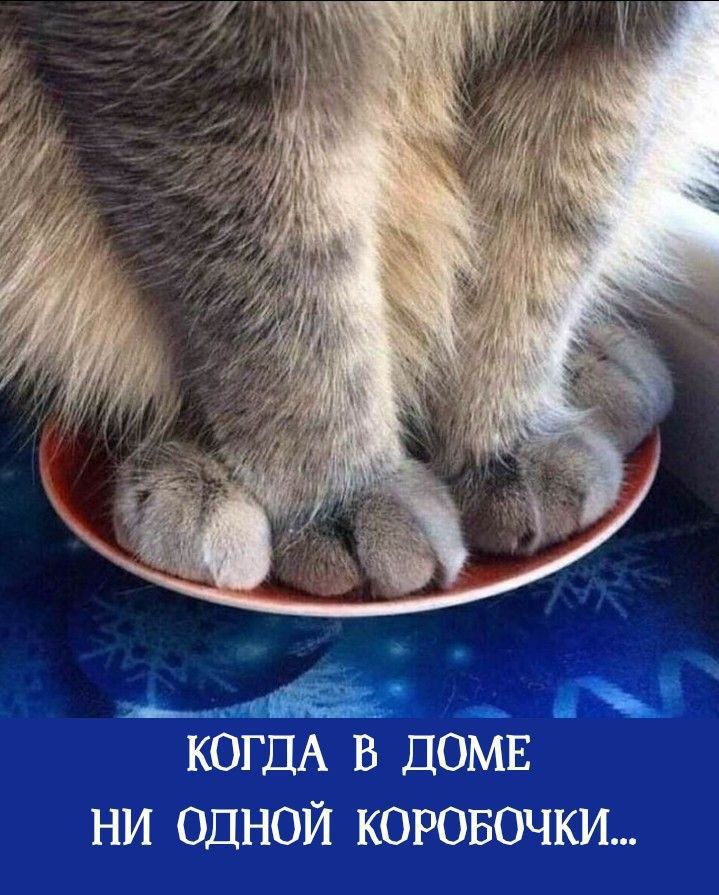 КОГДА В ДОМЕ НИ ОДНОЙ КОРОБОЧКИ...